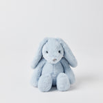 Load image into Gallery viewer, Jiggle & Giggle Pale Blue Bunny Small