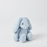 Load image into Gallery viewer, Jiggle & Giggle Pale Blue Bunny Small