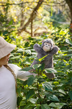 Load image into Gallery viewer, Nana Huchy Mani The Monkey Hoochy Coochie