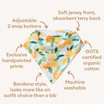 Load image into Gallery viewer, Snuggle Hunny Organic Dribble Bib Citrus Squeeze