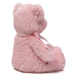 Load image into Gallery viewer, My First Teddy Pink 38cm
