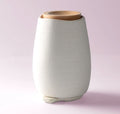 Lively Living Aroma Fern Diffuser - Natural