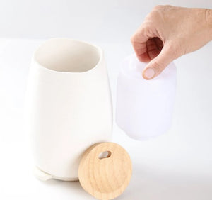 Lively Living Aroma Fern Diffuser - Natural