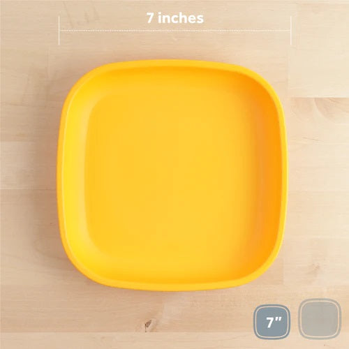 Re-play Flat Plate