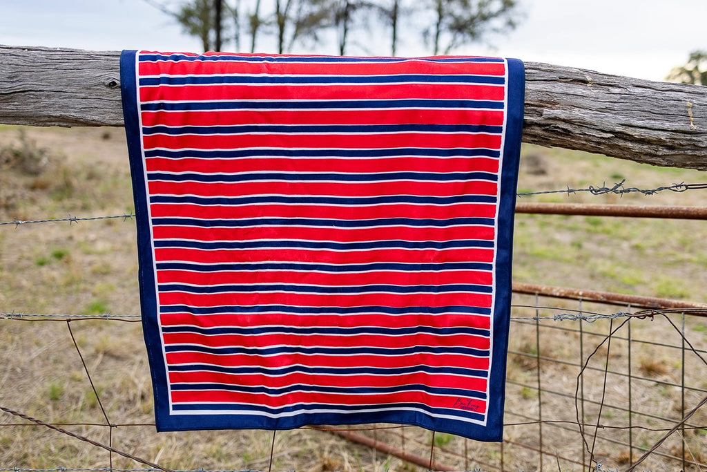 Bec Fing Designs Microfibre Towel - Red Blue Stripe