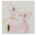 Ashdene Farmyard Faces Pig Ceramic Coaster