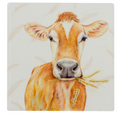 Ashdene Farmyard Faces Dairy Cow Ceramic Coaster