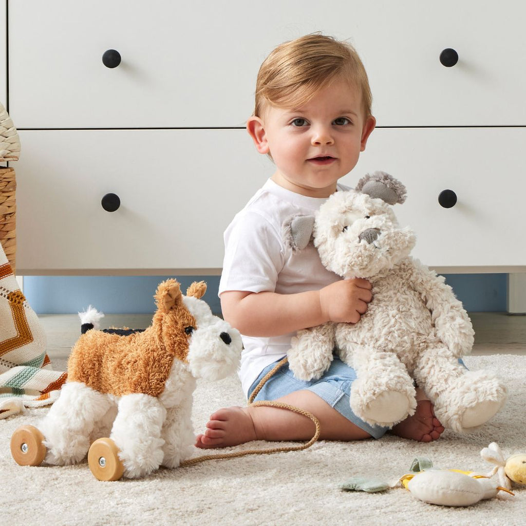 Jiggle & Giggle Dog Plush Pull Along