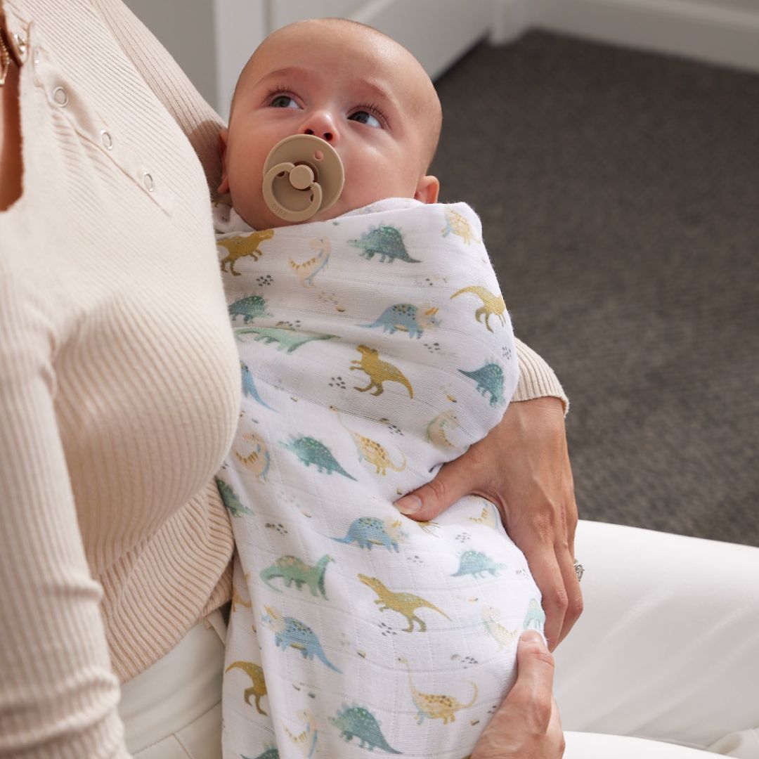 Jiggle & Giggle Dallying Dinosaurs Muslin Wrap