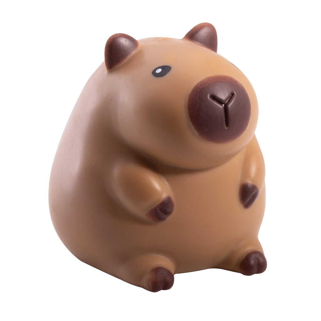 Discovery Zone Squishy Capybara