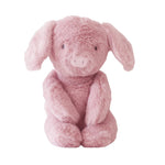 Load image into Gallery viewer, Alimrose Plush Piggy Toy
