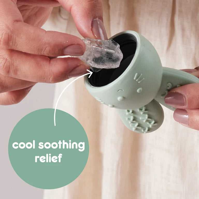 B.box Chill & Fill Teether - Sage