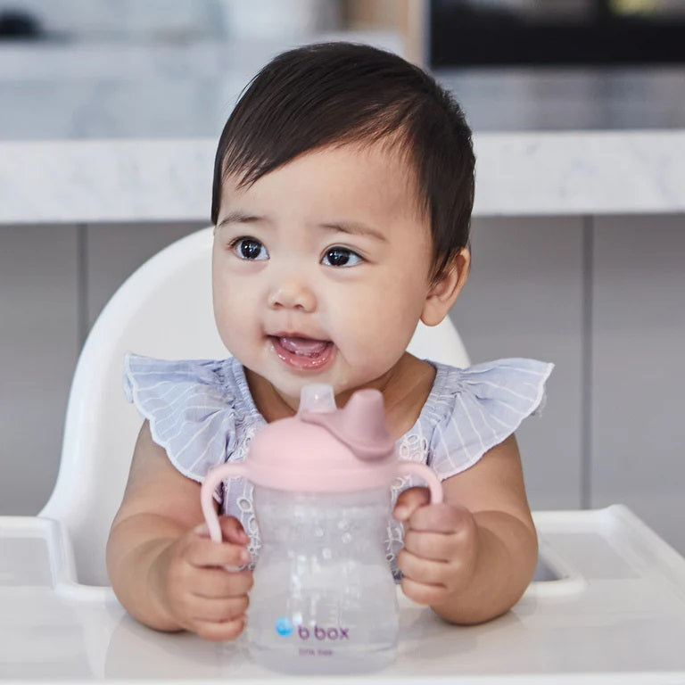 B.box Transition Value Pack - Blush