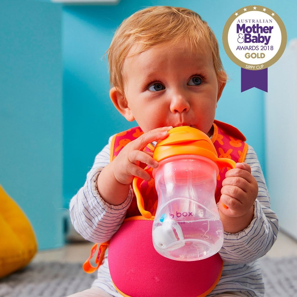 B.box Sippy Cup - Orange Zing