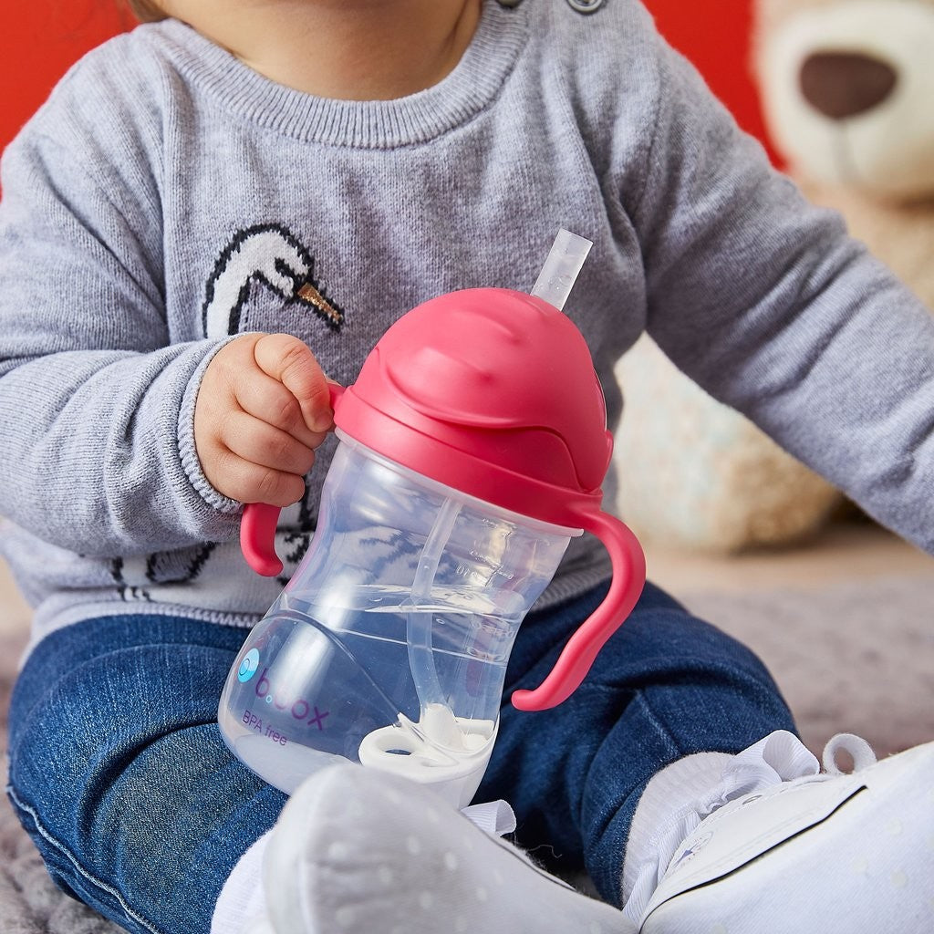B.box Sippy Cup - Watermelon