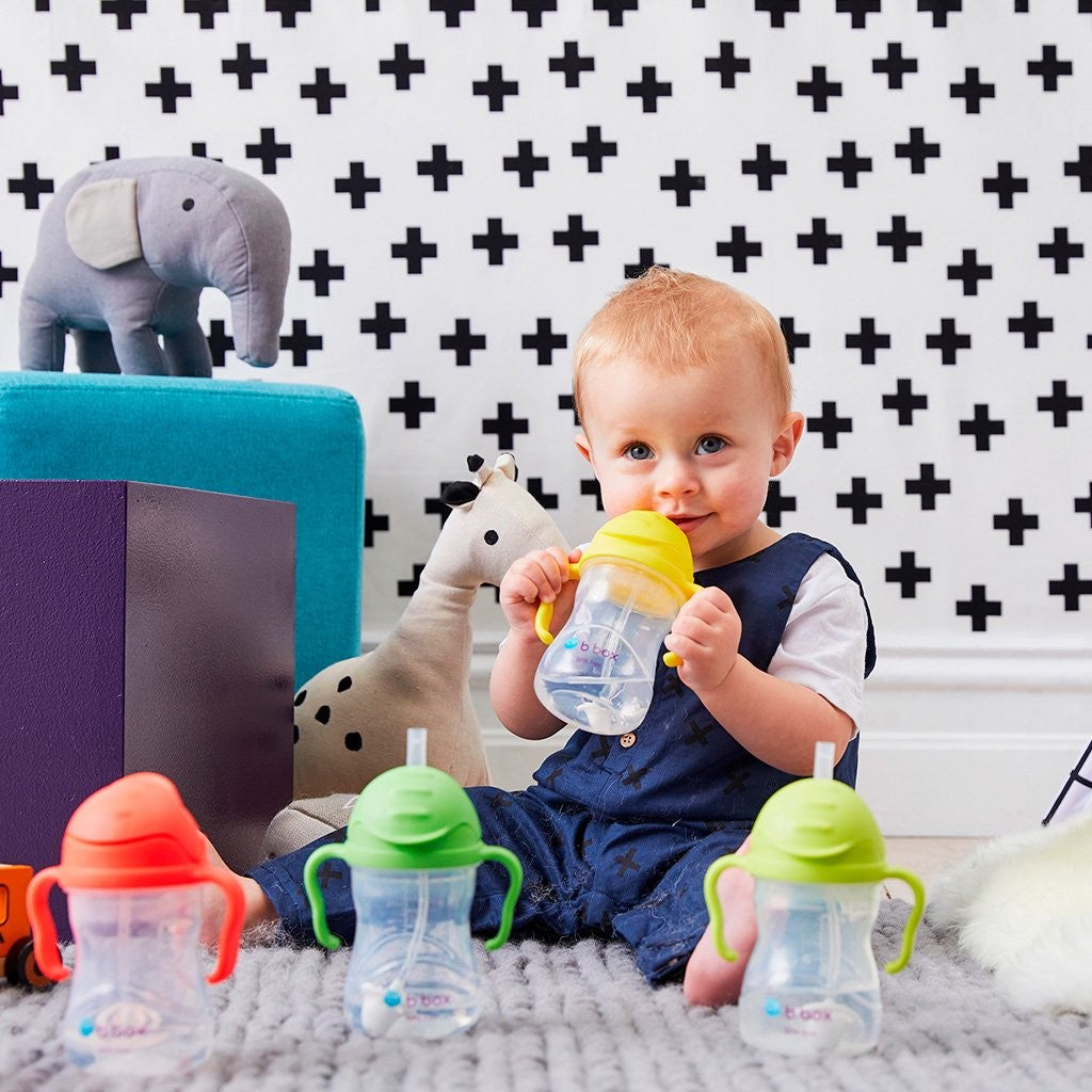 B.box Sippy Cup - Pink Pomegranate