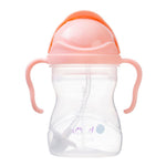 Load image into Gallery viewer, B.box Sippy Cup - Tutti Frutti
