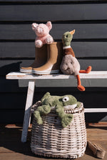 Load image into Gallery viewer, Nana Huchy Finley The Frog
