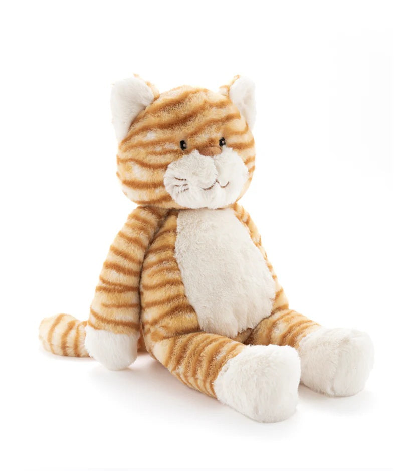 Ginger The Cat