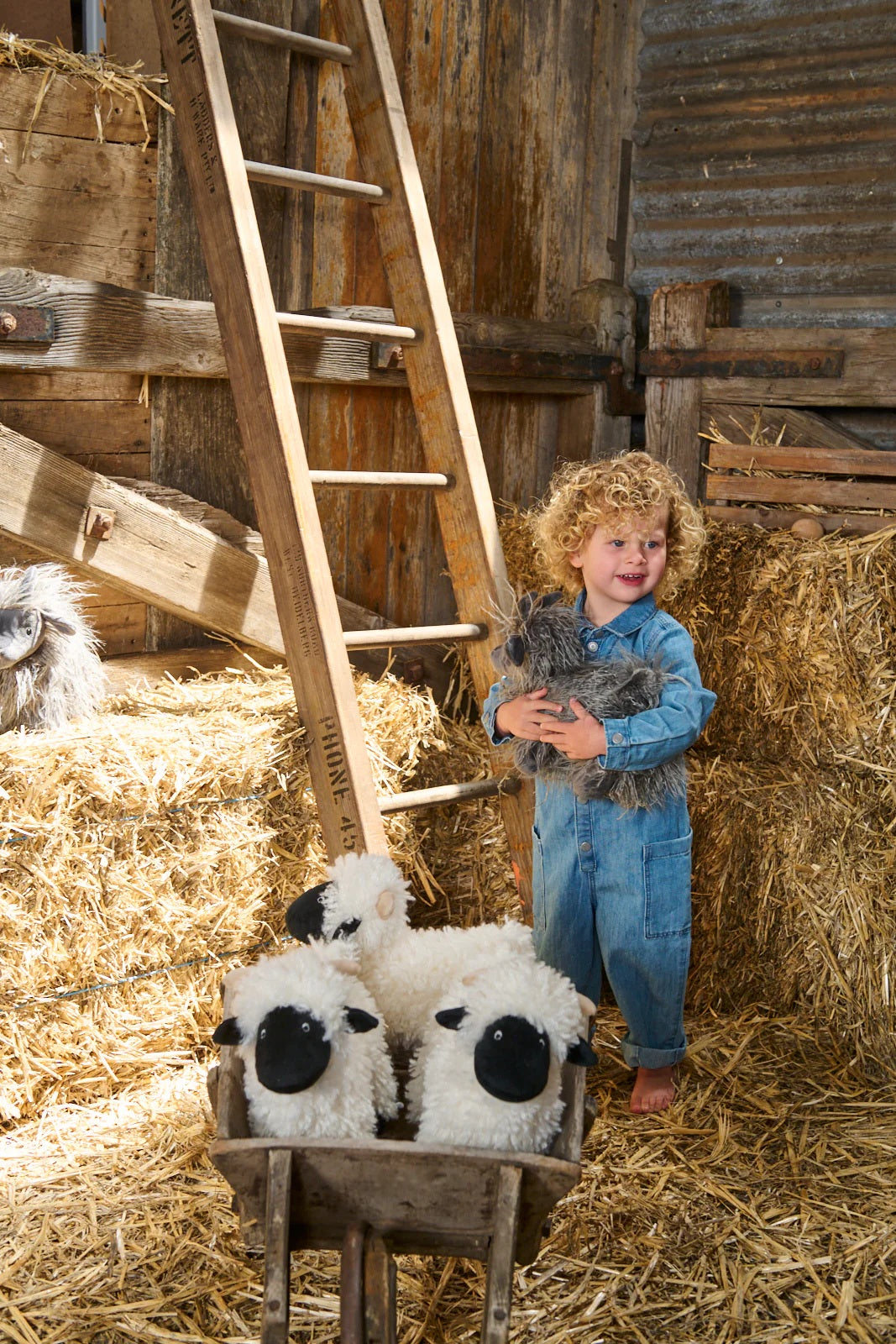 Nana Huchy Aiden The Angora Goat