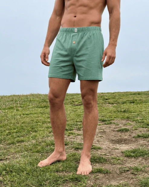 Bamboozld Mens Bamboo Jersey Boxer Short Sage [sz:s]