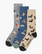 Load image into Gallery viewer, Bamboozld Mans Best Friend Bamboo Socks 3pk Gift Box Multi R7-11
