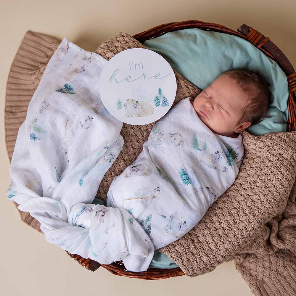 Snuggle Hunny Arctic Organic Muslin Wrap