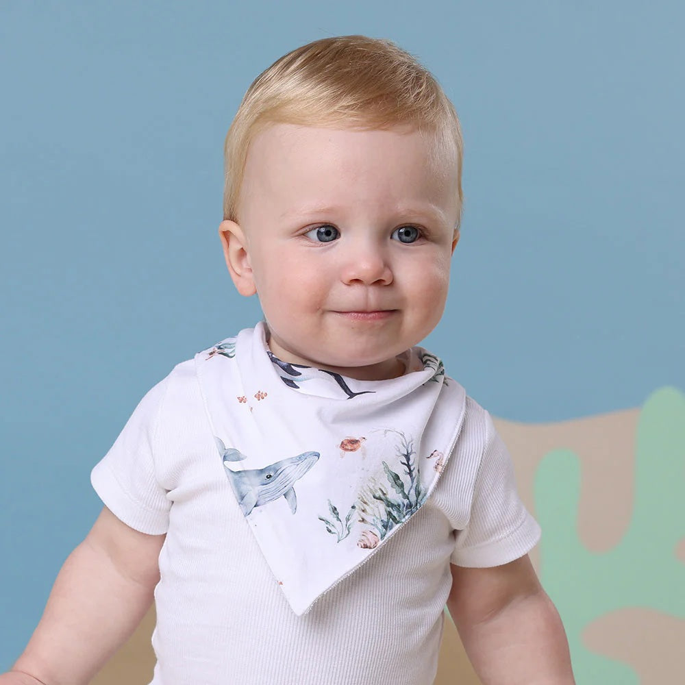 Snuggle Hunny Ocean Organic Dribble Bib