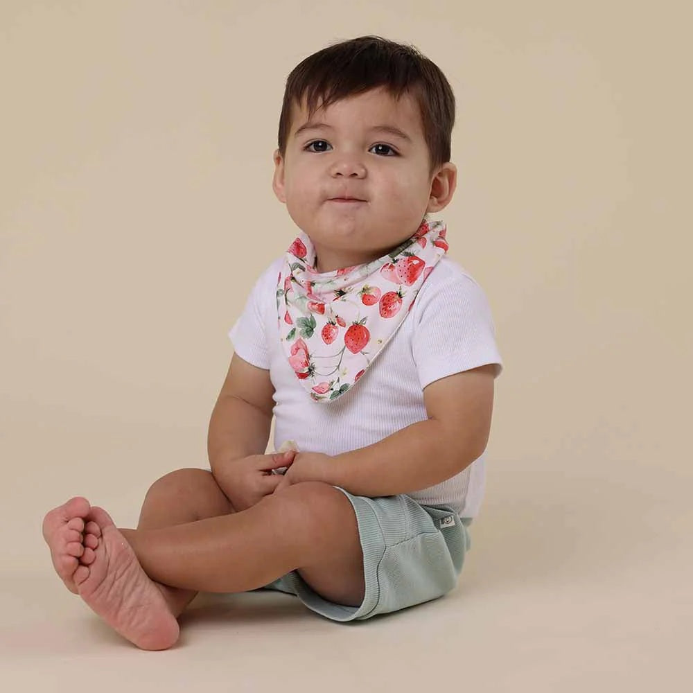 Snuggle Hunny Organic Dribble Bib Strawberry