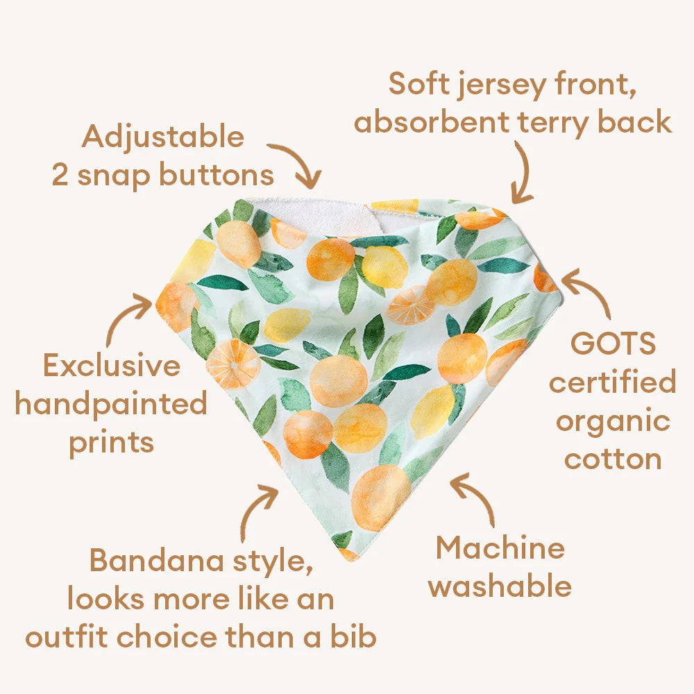 Snuggle Hunny Organic Dribble Bib Citrus Squeeze