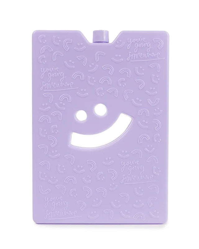 The Somewhere Co Lilac Large Ice Brick