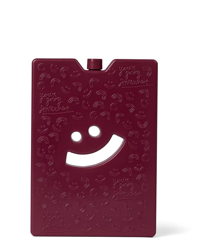 The Somewhere Co Burgundy Large Ice Brick