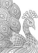 Load image into Gallery viewer, Wall Art - Amazing Animals
