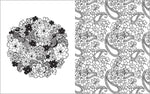 Load image into Gallery viewer, Colour Vibes - Adult Colouring Book - Botanical
