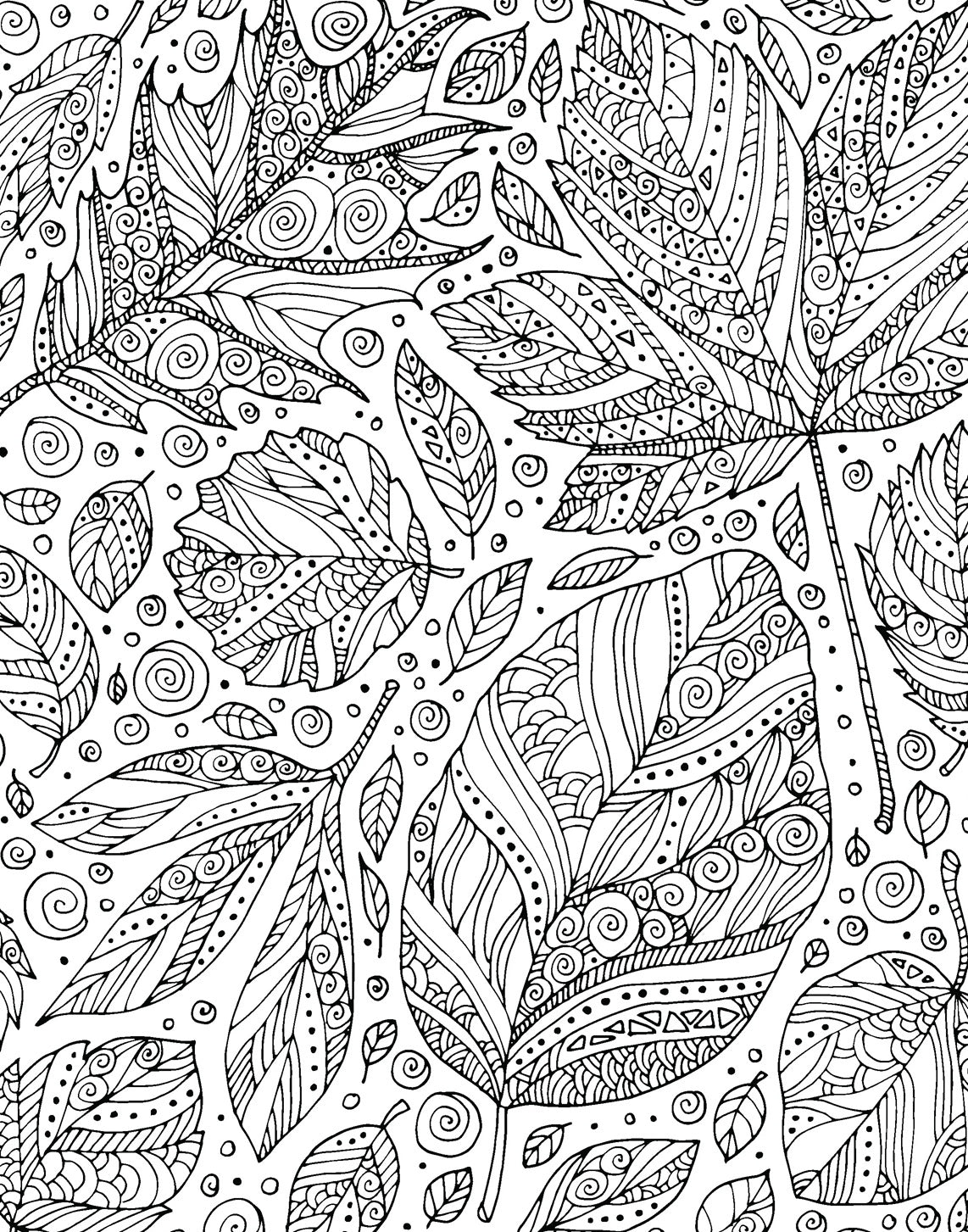 Scratch And Shine - Into The Wild