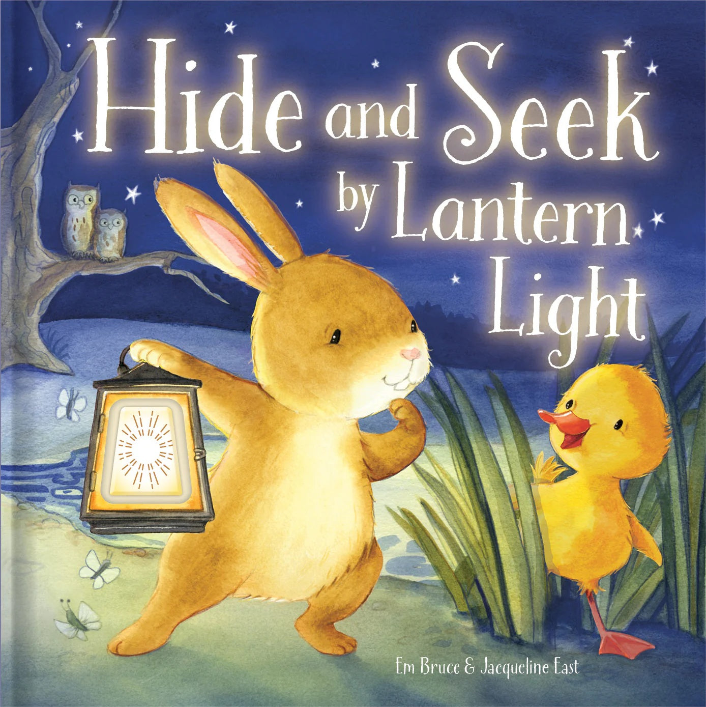 Hide And Seek By Lantern Light - Night Light Picture Book