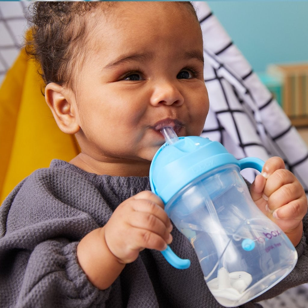 B.box Sippy Cup - Blueberry