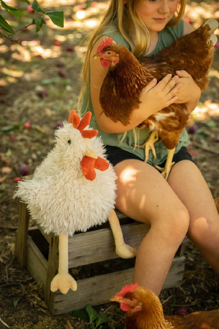 Nana Huchy Roy The Rooster